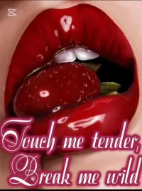 Touch me tender, Break me wild: Short, Steamy Erotica Compilations
