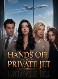 Hands Off My Private Jet