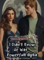 One Night Stand. I Didn't Know He Was Powerful Alpha cover