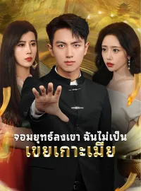 จอมยุทธ์ลงเขา ฉันไม่เป็นเขยเกาะเมีย