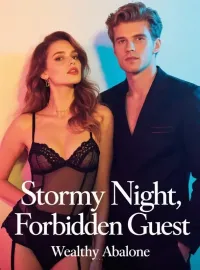 Stormy Night, Forbidden Guest