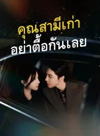 คุณสามีเก่า อย่าตื้อกันเลย