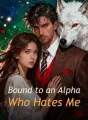 Bound to an Alpha Who Hates Me cover