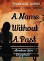 A Name Without A Past cover