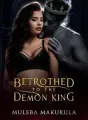 BETROTHED TO THE DEMON KING cover
