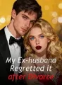 My Ex-husband Regretted it after Divorce cover