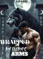 Wrapped in my Enemy's Arms cover