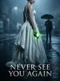 Never See You Again