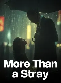 More Than a Stray