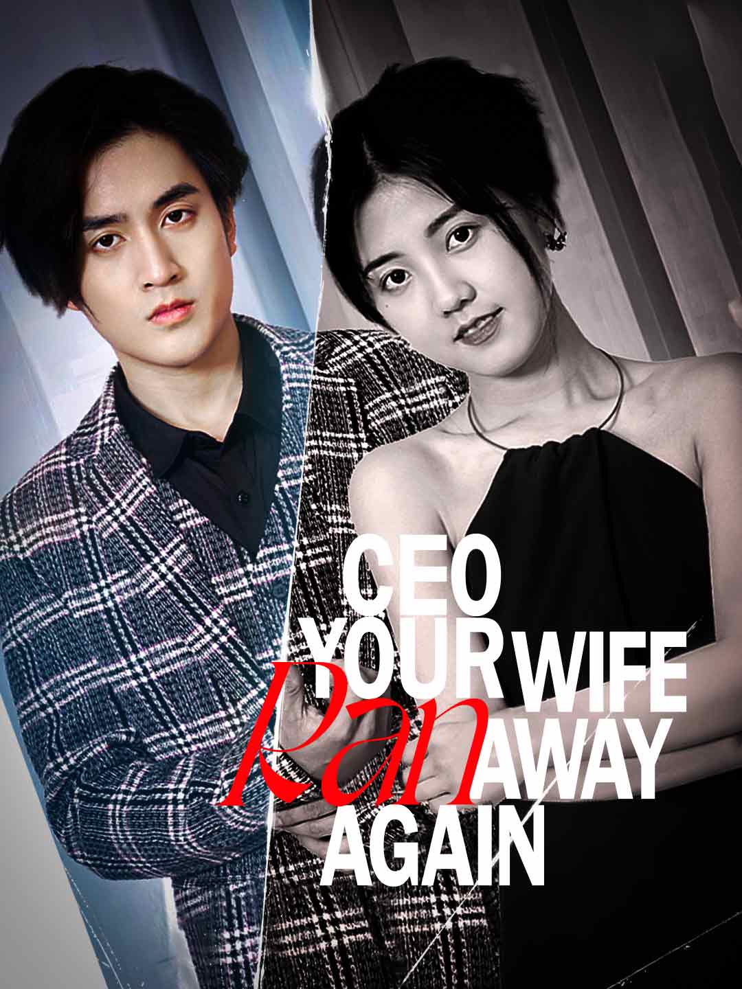 CEO, Your Wife Ran Away Again cover