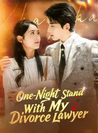 One-Night Stand With My Divorce Lawyer