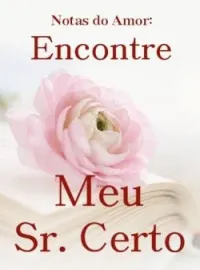 Notas do Amor: Encontre Meu Sr. Certo