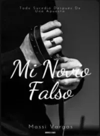 Mi novio falso