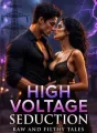 HIGH VOLTAGE SEDUCTION cover