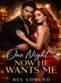 One Night, Now He Wants Me. cover