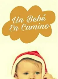 Un bebe en camino