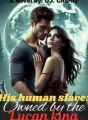 His human slave: Owned by the Lycan king cover