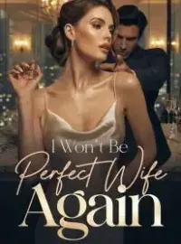 I Won't Be Your Perfect Wife Again