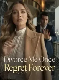 Divorce Me Once, Regret Forever