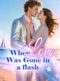 When Love Was Gone in a flash