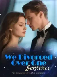 We Divorced Over One Sentence