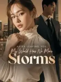 After Leaving You, My World Has No More Storms