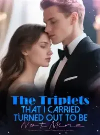 The Triplets That I Carried Turned Out to Be Not Mine