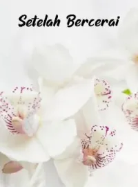 Setelah Bercerai