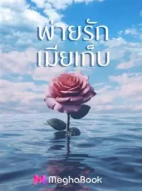 พ่ายรักเมียเก็บ