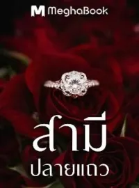 สามีปลายแถว