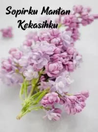 Sopirku Mantan Kekasihku 