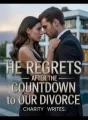 He Regrets After The Countdown To Our Divorce cover