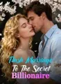 Flash Marriage To The Secret Billionaire cover