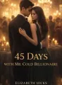 45days With Mr Cold Billionaire  cover