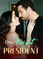 One Night With The President cover