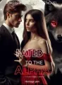 Fated to The Alpha  cover