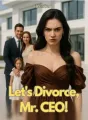Let's Divorce, Mr. CEO! cover