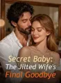Secret Baby: The Jilted Wife's Final Goodbye cover