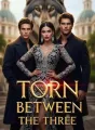 TORN BETWEEN THE THREE  cover