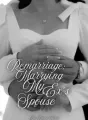 Remarriage: Marrying My Ex's Spouse cover