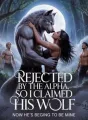 REJECTED BY THE ALPHA SO I CLAIMED HIS WOLF: NOW HE'S BEGGING TO BE MINE cover