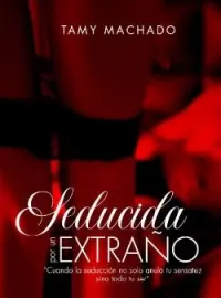 Seducida por un extraño