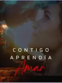 Contigo aprendí a amar