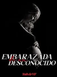 EMBARAZADA DE UN DESCONOCIDO