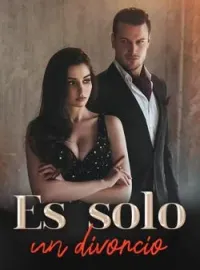 Es solo un divorcio