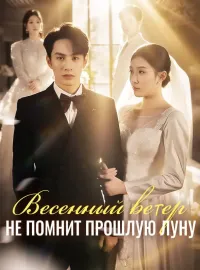 Весенный ветер не помнит прошлую луну