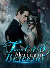 Tuan CEO, Aku ingin Bercerai