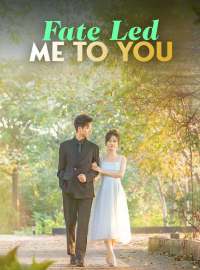 Fate Led Me to You