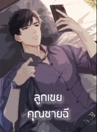 ลูกเขยคุณชายฉี