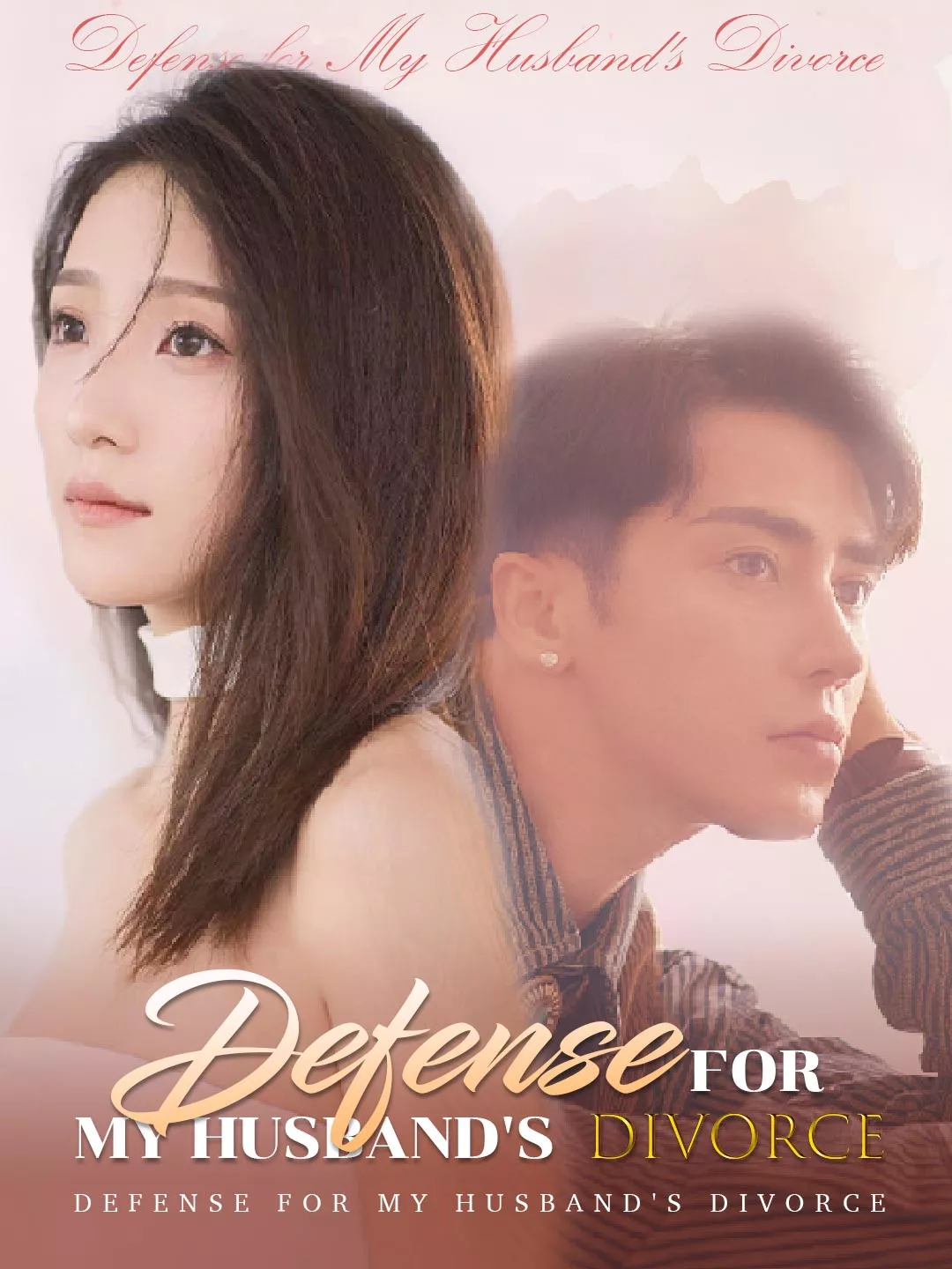 Defense for My Husband's Divorce cover